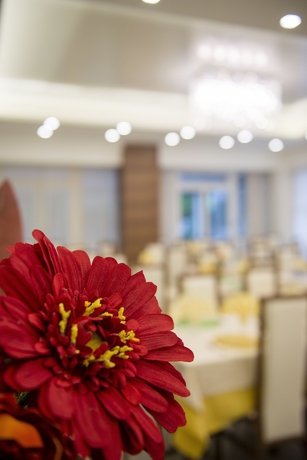 Imagen de los interiores del Hotel EDELWEISS, Riccione. Foto 16