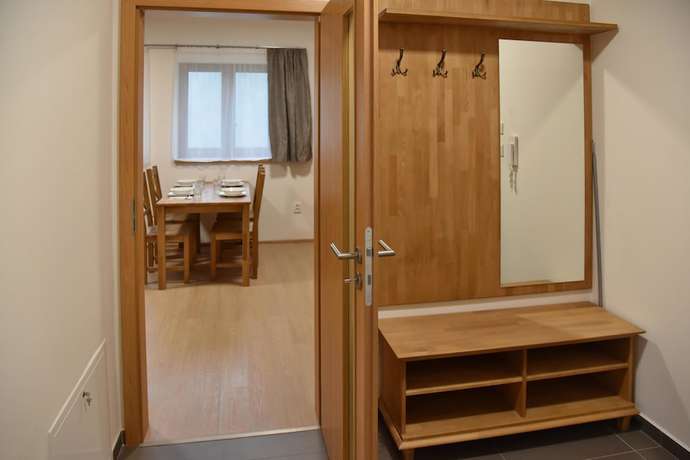 Imagen de la habitación del Hotel EFI ApartHorn&iacute; Lipov&aacute;. Foto 11