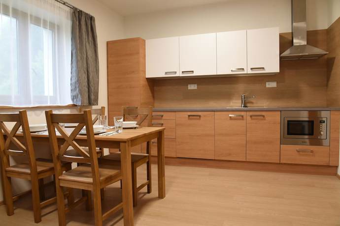 Imagen de la habitación del Hotel EFI ApartHorn&iacute; Lipov&aacute;. Foto 12