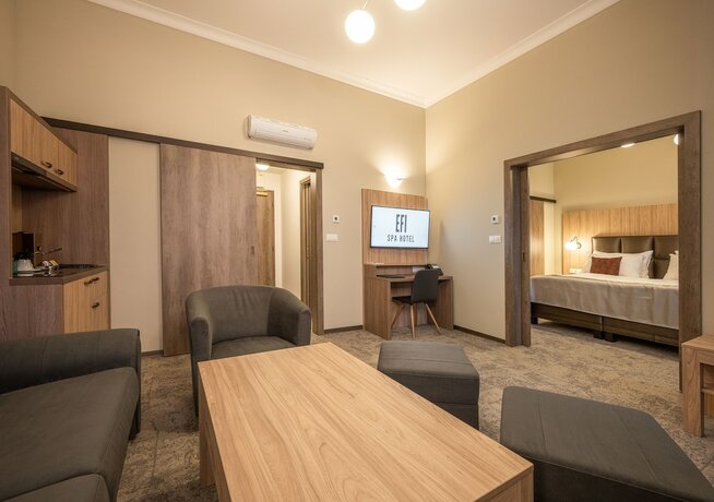 Imagen de la habitación del Hotel EFI SPA Superior and Pivovar. Foto 19