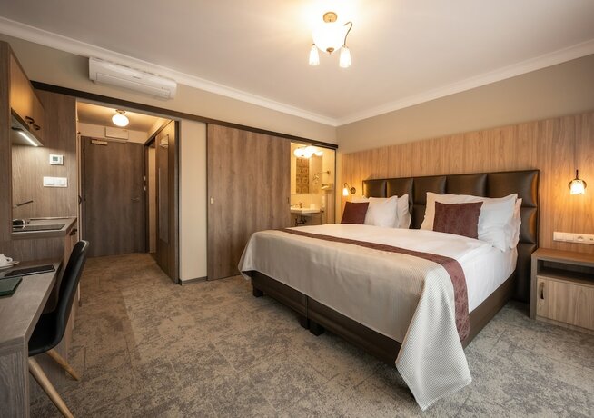 Imagen de la habitación del Hotel EFI SPA Superior and Pivovar. Foto 20