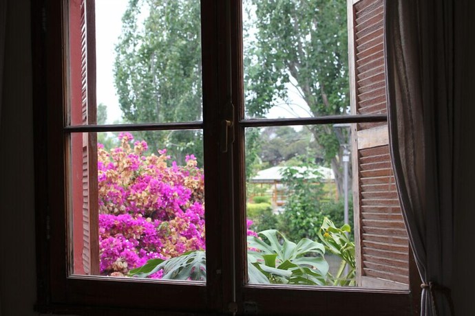 Imagen de la habitación del Hotel EL ARBOL HOSTEL. Foto 5
