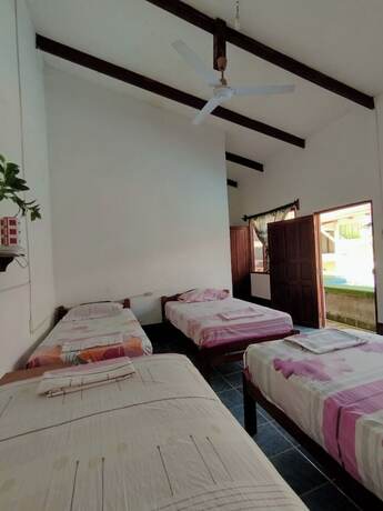 Imagen de la habitación del Hotel EL CURICHAL HOSTEL. Foto 10