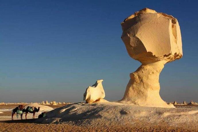 Imagen general del Hotel EL KAMEL SAFARI. Foto 6