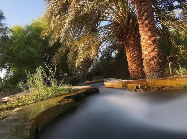 Imagen general del Hotel EL KAMEL SAFARI. Foto 17