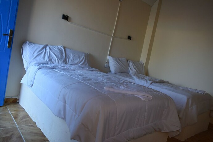 Imagen de la habitación del Hotel EL KAMEL SAFARI. Foto 20