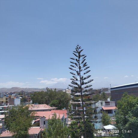 Imagen general del Hotel EL MONARCA AQP. Foto 13