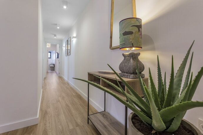 Imagen general del Hotel ELEVEN Apartments Real de la Carretería, by Homing U. Foto 7