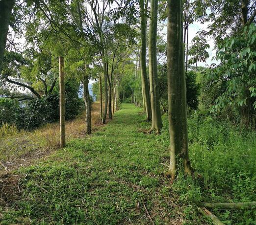 Imagen general del Hotel ELICERIO SALCEDO. Foto 8