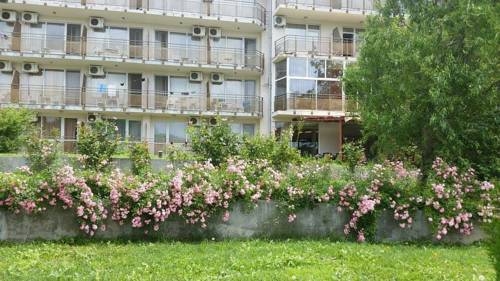 Imagen general del Hotel ELIT BALCHIK. Foto 1