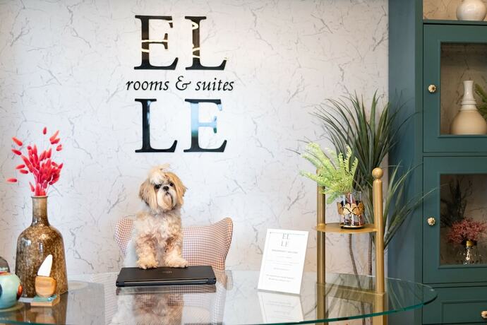 Imagen general del Hotel ELLE Rooms and Suites. Foto 2