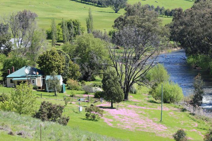 Imagen de los interiores del Hotel ELM COTTAGE. Foto 4