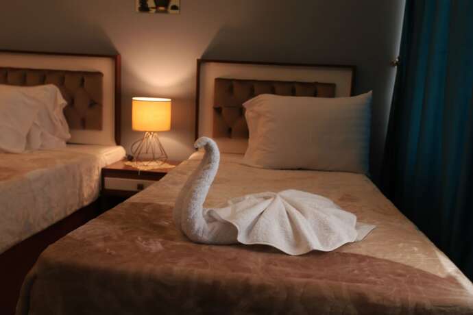 Imagen general del Hotel ELShams. Foto 2