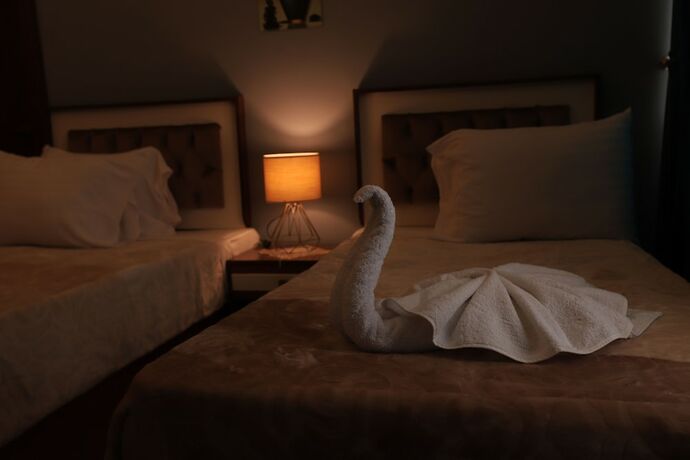 Imagen general del Hotel ELShams. Foto 7