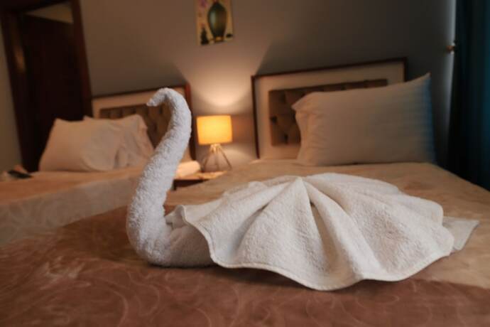 Imagen general del Hotel ELShams. Foto 11