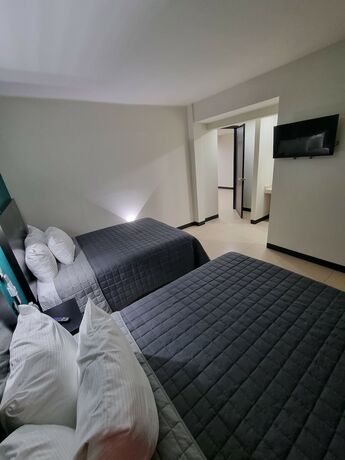 Imagen general del Hotel EMSes Centro Hist&oacute;rico. Foto 5