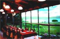 Imagen del bar/restaurante del Hotel ESTANCIA ALICE. Foto 2