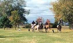 Imagen general del Hotel (ESTANCIA) EL OMB&Uacute; DE ARECO. Foto 5