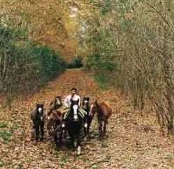 Imagen general del Hotel (ESTANCIA) LA CANDELARIA. Foto 4
