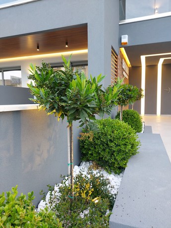 Imagen general del Hotel EUPHORIA \'\'staying in pleasure\'\'. Foto 2