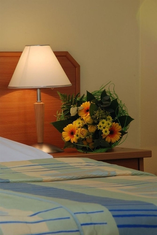 Imagen de la habitación del Hotel Ea Tosca. Foto 8