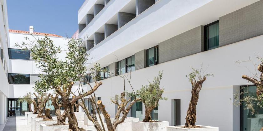 Imagen general del Hotel Évora Olive. Foto 2