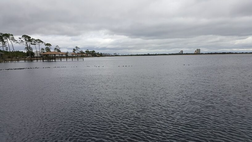 Imagen general del Hotel Eagle Cottages at Gulf State Park. Foto 5