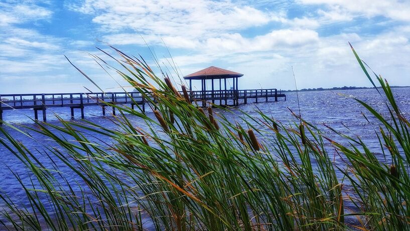 Imagen general del Hotel Eagle Cottages at Gulf State Park. Foto 13