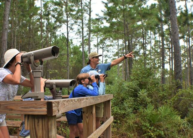 Imagen general del Hotel Eagle Cottages at Gulf State Park. Foto 16