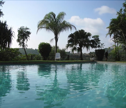 Imagen de la piscina del Hotel Eagle's Nest Chalets. Foto 9