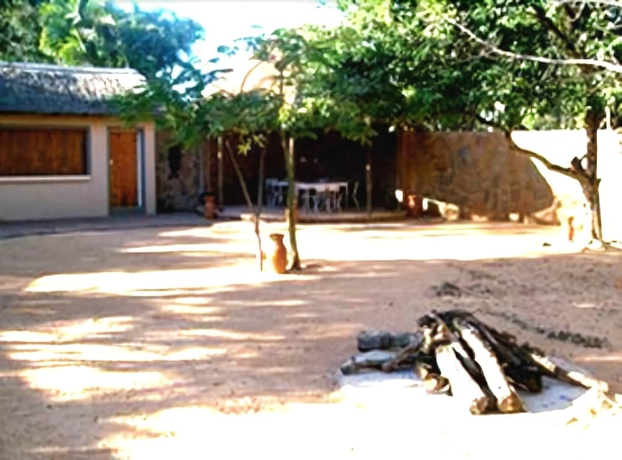 Imagen de los exteriores del Hotel Eagle's Nest Chalets. Foto 6