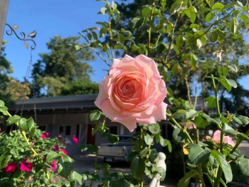 Imagen general del Hotel โรงแรมอีสานอินน์ ยโสธร - Easarninn Yasothorn. Foto 15