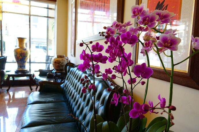 Imagen general del Hotel East Commercial Affairs. Foto 8