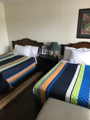 Imagen de la habitación del Hotel Eastwood Motel. Foto 19