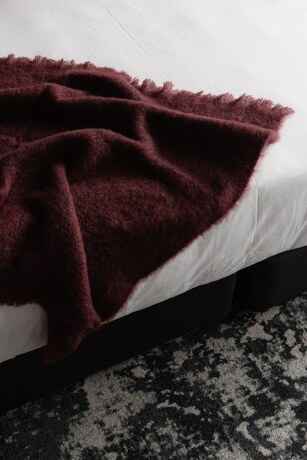 Imagen general del Hotel Ebb-Dunedin. Foto 7