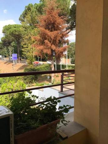 Imagen general del Hotel Ebe. Foto 3