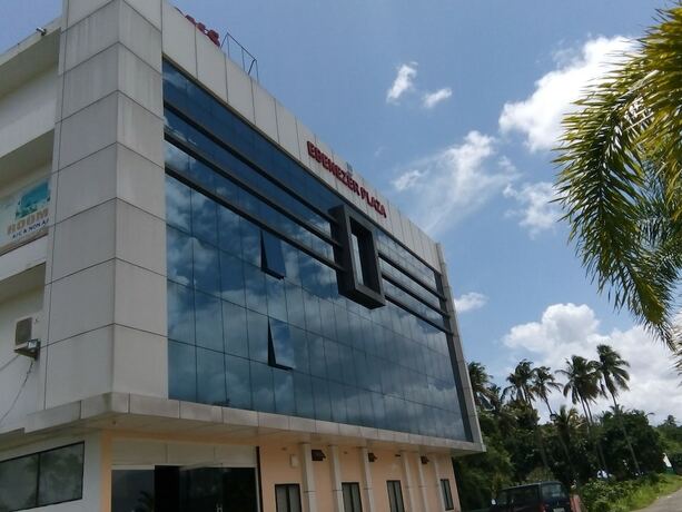 Imagen general del Hotel Ebenezer Plaza. Foto 9