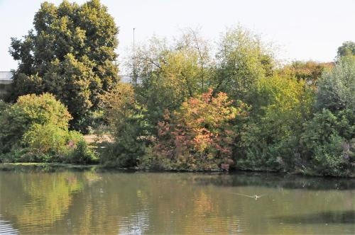 Imagen general del Hotel Eberhards Am Wasser. Foto 4