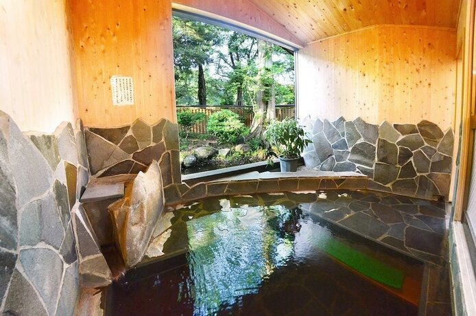 Imagen general del Hotel Echigo Tanaka Onsen Shinanosou. Foto 8