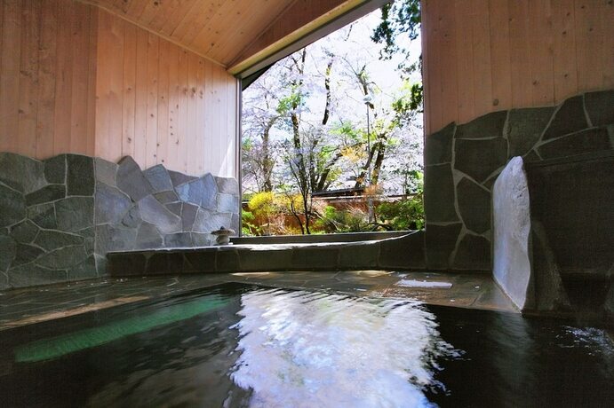 Imagen general del Hotel Echigo Tanaka Onsen Shinanosou. Foto 16
