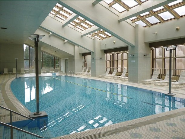 Imagen de la piscina del Hotel Echigoyuzawaonsen Gardentower. Foto 5