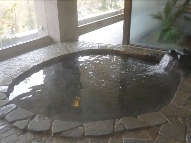 Imagen de la piscina del Hotel Echigoyuzawaonsen Gardentower. Foto 6