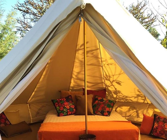 Imagen de la habitación del Hotel Echological - Glamping. Foto 9