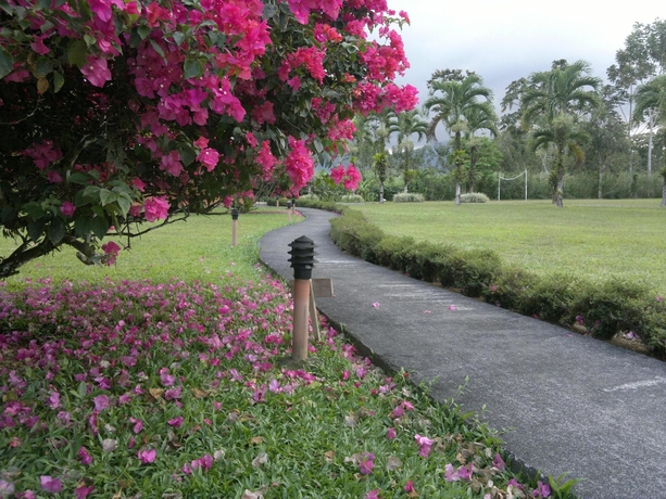 Imagen de los exteriores del Hotel Eco Arenal. Foto 6