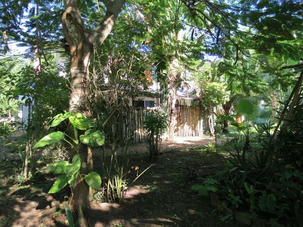 Imagen general del Hotel Eco Coco Loco by Rotamundos. Foto 8