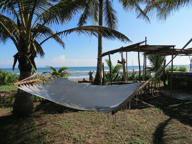 Imagen general del Hotel Eco Coco Loco by Rotamundos. Foto 9