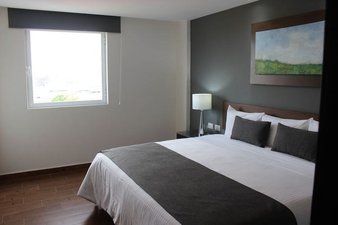 Imagen de la habitación del Hotel Eco Guadalajara Expo. Foto 11