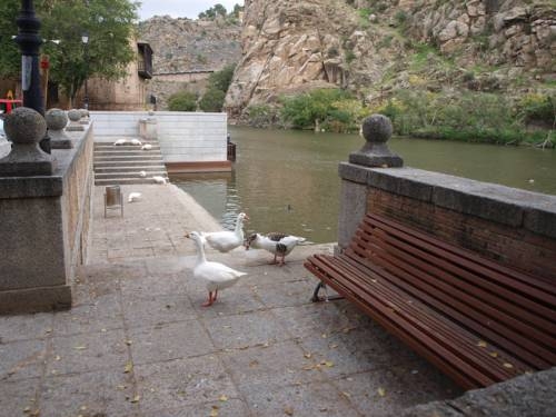 Imagen general del Hotel Eco Hotel Toledo. Foto 12