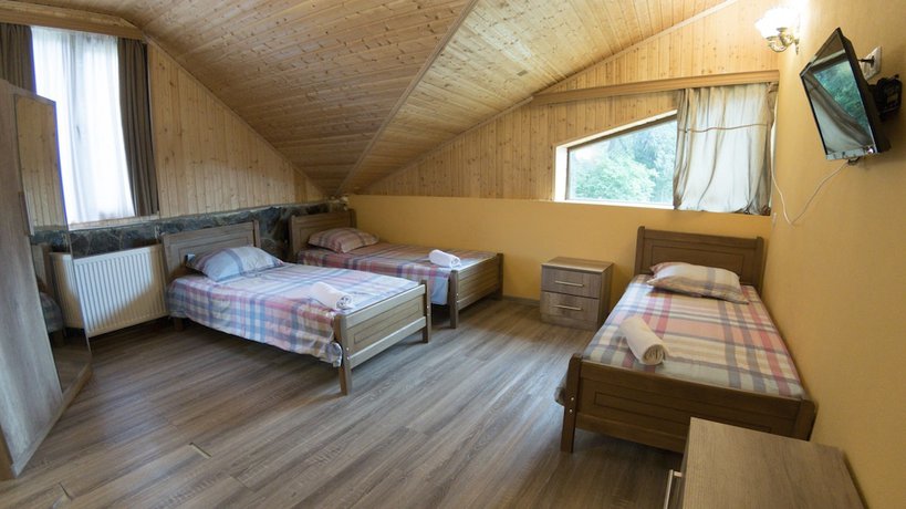 Imagen de la habitación del Hotel Eco House In Bakuriani. Foto 9