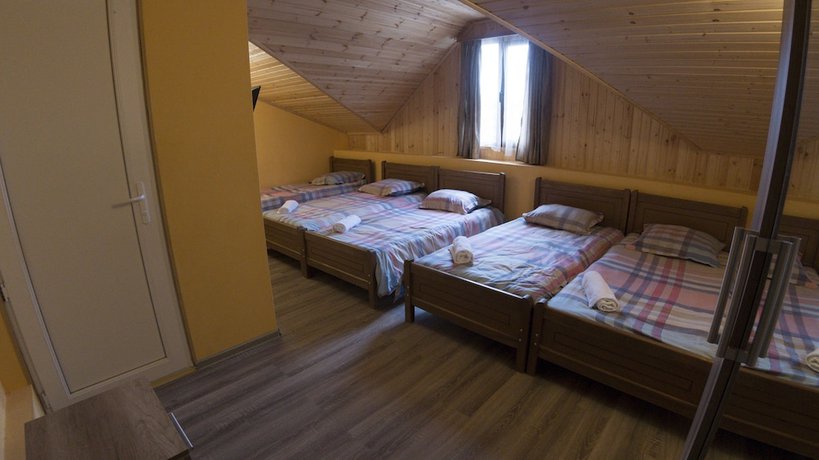 Imagen de la habitación del Hotel Eco House In Bakuriani. Foto 11